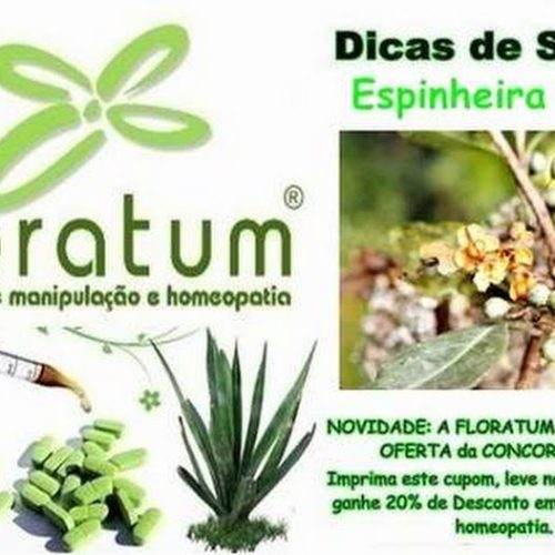 Dicas Floratum: Conheça a Espinheira-Santa