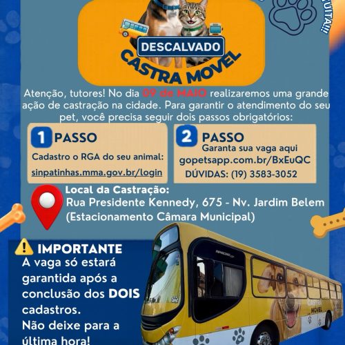 Mutirão de castração será realizado em Descalvado no dia 9 de maio