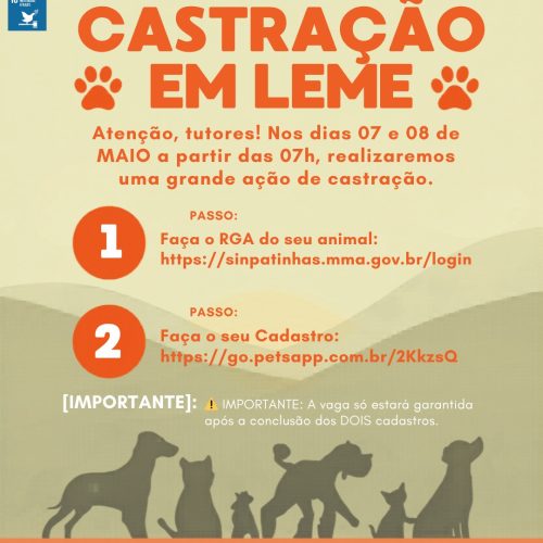 Mutirão de castração encerra Abril Laranja em Leme