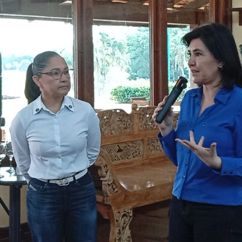 Simone Tebet critica alta dos feminicídios em São Paulo e defende fortalecimento da proteção às mulheres