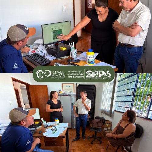 Árvore centenária de Santa Rita o Passa Quatro (SP) não apresenta risco estrutural, aponta avaliação de especialista