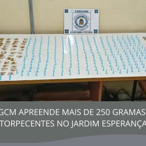GCM apreende 255 gramas de drogas durante patrulhamento no Jardim Esperança em Porto Ferreira