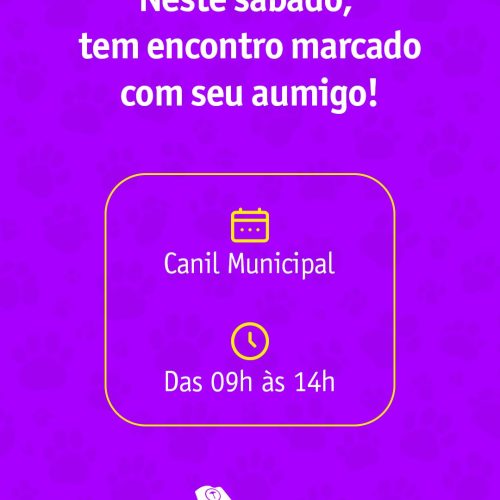 Feira de adoção em São Carlos reúne mais de 290 animais neste sábado no Canil Municipal