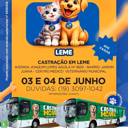 Sucesso do Abril Laranja garante mais 600 castrações gratuitas em Leme