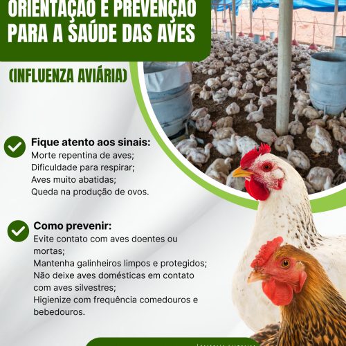 Santa Rita do Passa Quatro reforça orientações para prevenir gripe aviária