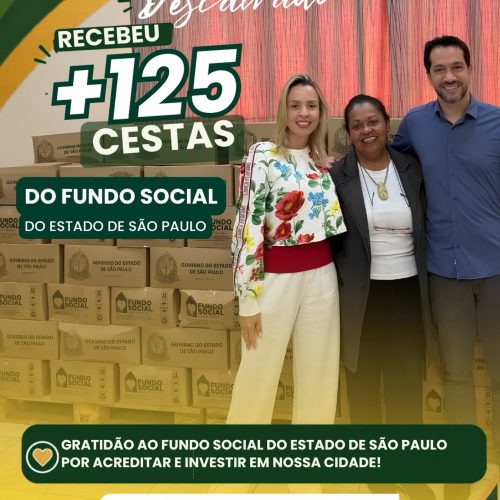 Fundo Social de Descalvado recebe mais de 125 cestas básicas do Estado