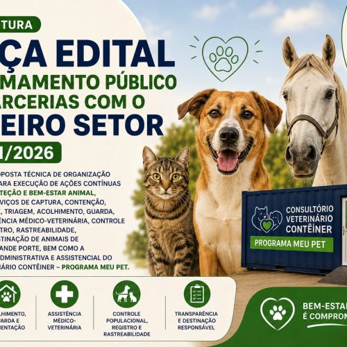 Santa Rosa de Viterbo lança edital para ampliar ações de proteção animal
