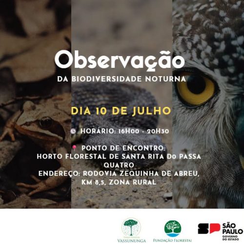 Observação da biodiversidade noturna convida visitantes para experiência no Horto de Santa Rita do Passa Quatro