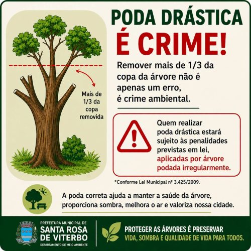 Santa Rosa de Viterbo alerta que poda drástica de árvores é crime ambiental e pode gerar multa
