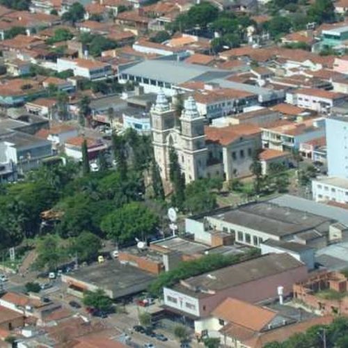 Relatório enfatiza importância da biodiversidade nas cidades