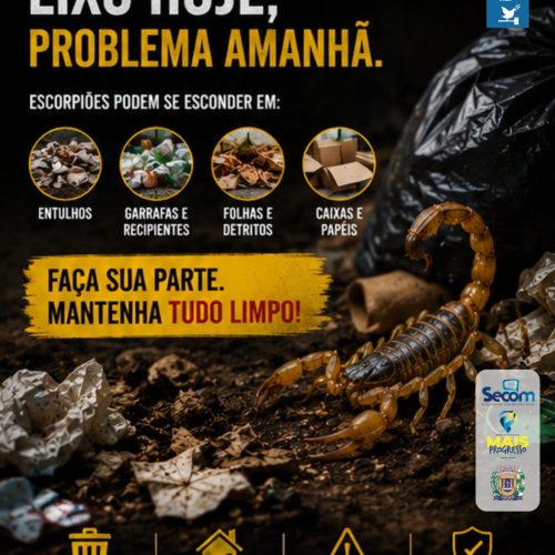 Leme alerta para importância da limpeza no combate aos escorpiões