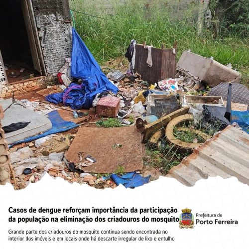 Casos de dengue em Porto Ferreira reforçam importância da prevenção e da colaboração da população