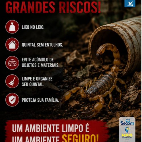 Prefeitura de Leme (SP) reforça importância da limpeza dos quintais para prevenir escorpiões