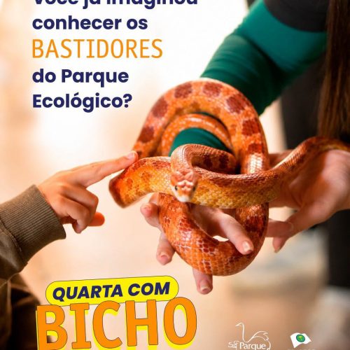 São Carlos abre últimas vagas para experiência com animais durante as férias escolares