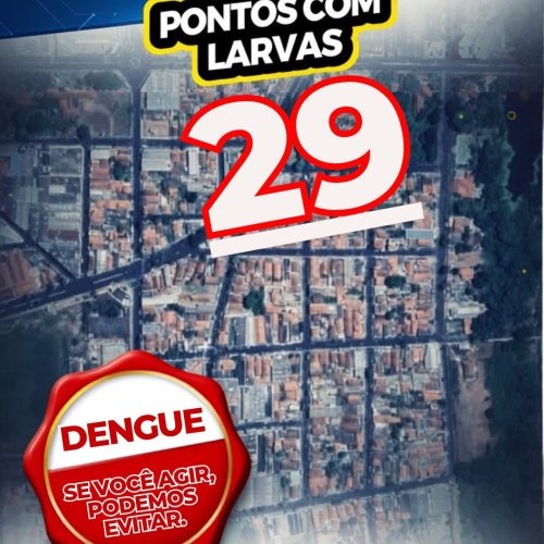 Fiscalização encontra 29 criadouros com larvas do mosquito da dengue no bairro Paschoal Salzano, em Porto Ferreira