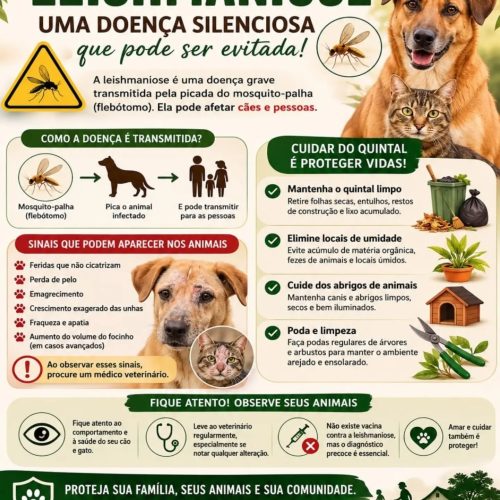 Prevenção é essencial no combate à leishmaniose visceral em Santa Rosa de Viterbo