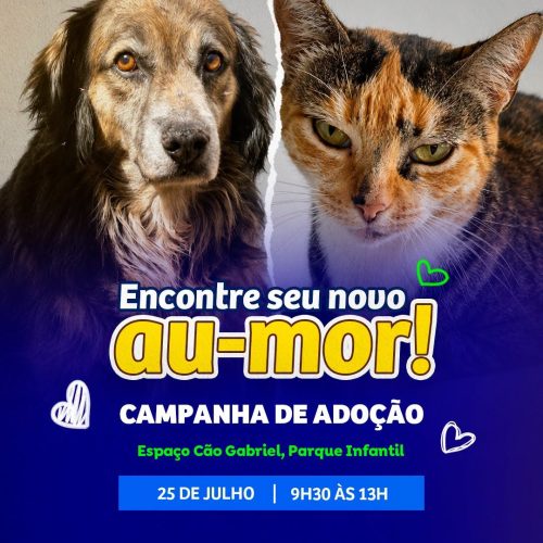 Campanha de adoção busca novos lares para cães e gatos em Araraquara neste sábado (24/07)