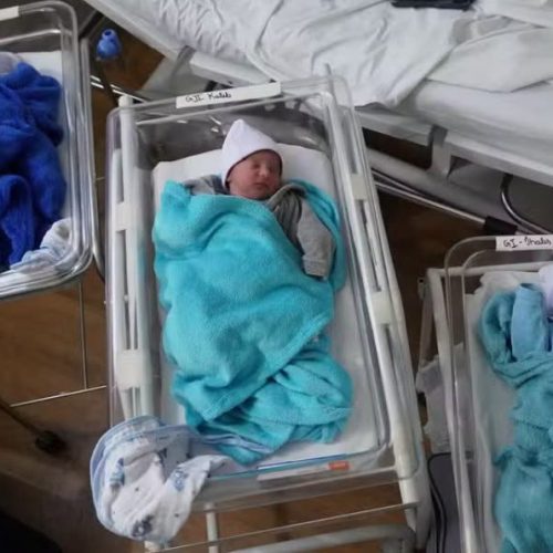 Família de Descalvado celebra nascimento de trigêmeos em São Carlos