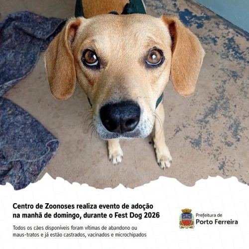 Porto Ferreira recebe 14ª edição do Fest Dog neste domingo (30/08)