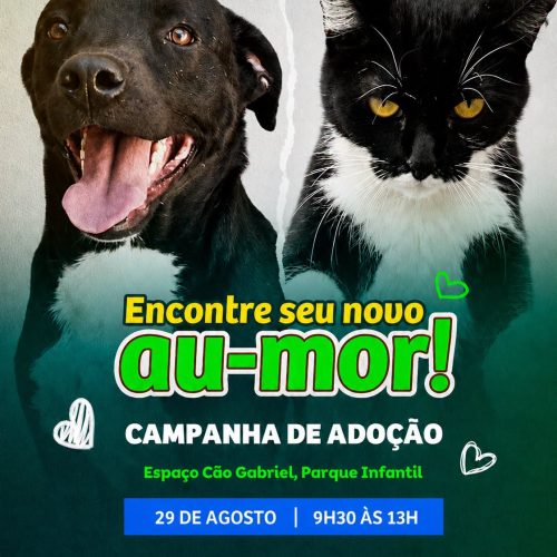 Araraquara terá campanha de adoção de animais neste sábado (29/08)