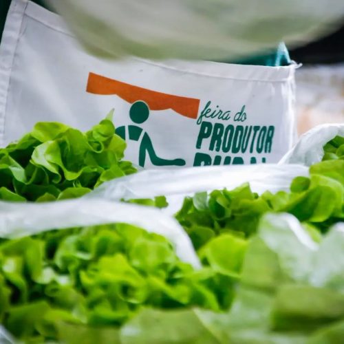 Feira do Produtor Rural retorna ao centro de Pirassununga