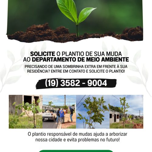 Santa Rita incentiva moradores a solicitar plantio de árvores nas calçadas