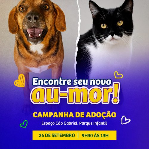 Araraquara realiza campanha de adoção de cães e gatos no Parque Infantil da cidade neste sábado (26/09)
