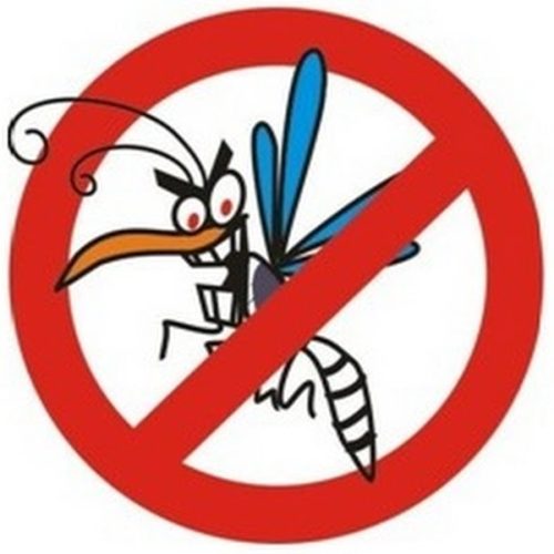 Foz apoia campanha de combate a dengue