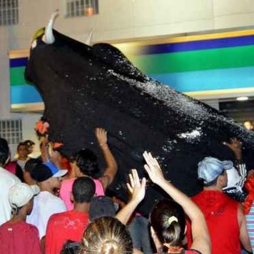 Tradicionais blocos de bois desfilaram na segunda-feira de Carnaval