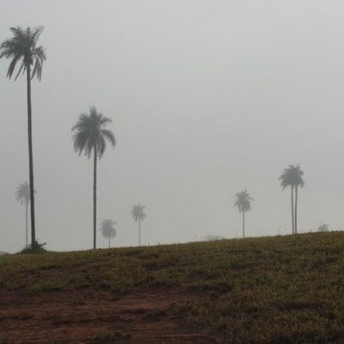 Alckmin lança projeto para recuperar pastagens degradadas do Estado de SP