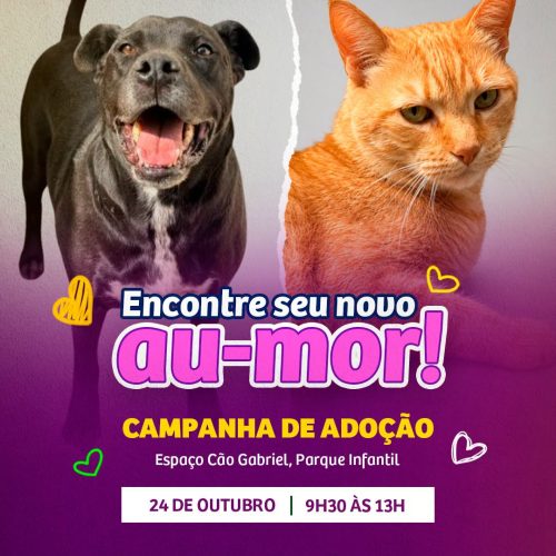 Araraquara promove campanha de adoção de animais neste sábado (24/10)
