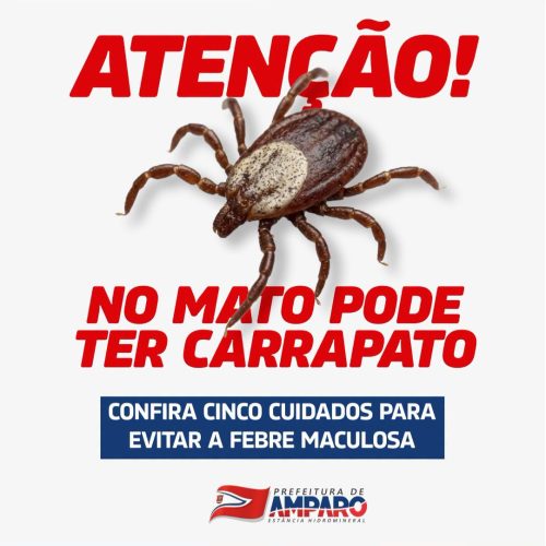Amparo confirma quatro mortes por febre maculosa em 2026 e reforça alerta