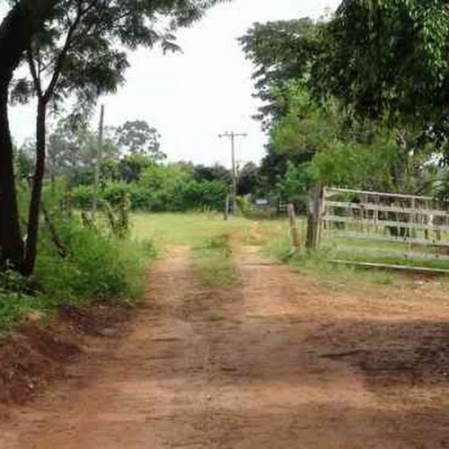 Corpo de homem é localizado em sítio na zona rural de Porto Ferreira