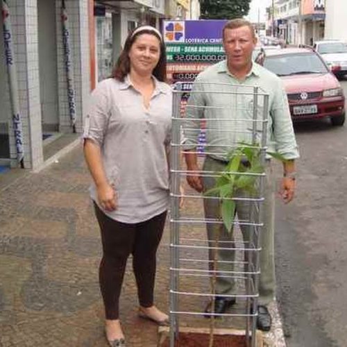 Divisão de Meio Ambiente promove plantio de árvores no centro da cidade