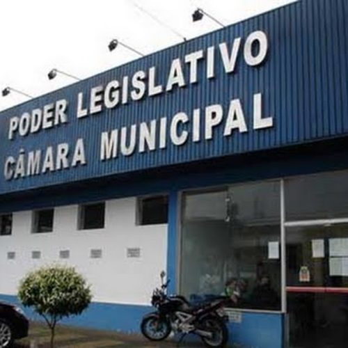 Câmara Municipal debate a criação do Conselho de Proteção e Defesa dos Animais