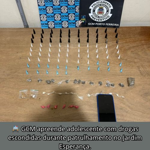 Adolescente é apreendido por ato infracional ligado ao tráfico de drogas em Porto Ferreira