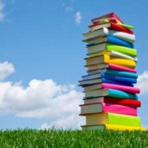 Videoconferência orienta sobre Plano Nacional do Livro Didático 2014