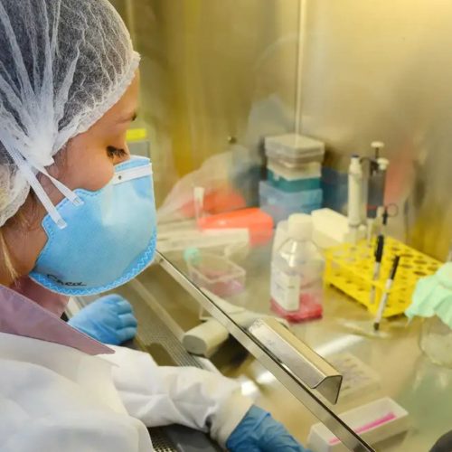 Vacina contra Zika avança na USP com resultados promissores em testes com camundongos