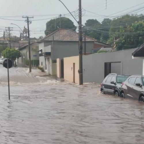 Temporal causa alagamentos e quedas de árvores no domingo