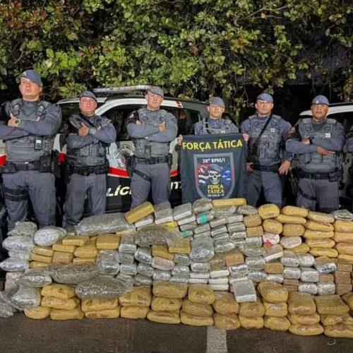 Operação da PM encontra esconderijo com 312 kg de drogas e prende três em São Carlos