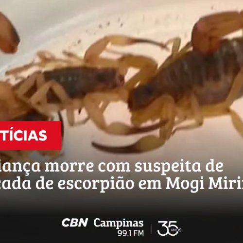 Criança de 1 ano morre em Mogi Mirim; suspeita é de picada de escorpião