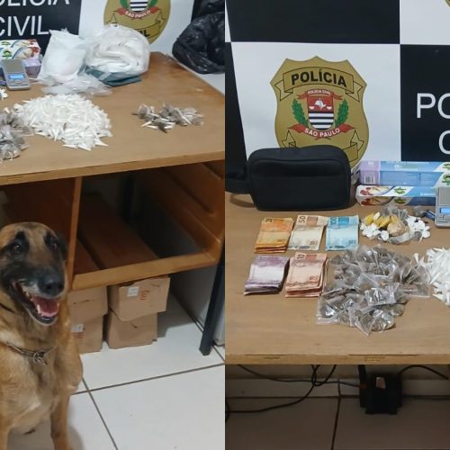 Polícia Militar prende homem com mais de 600 porções de cocaína em Porto Ferreira