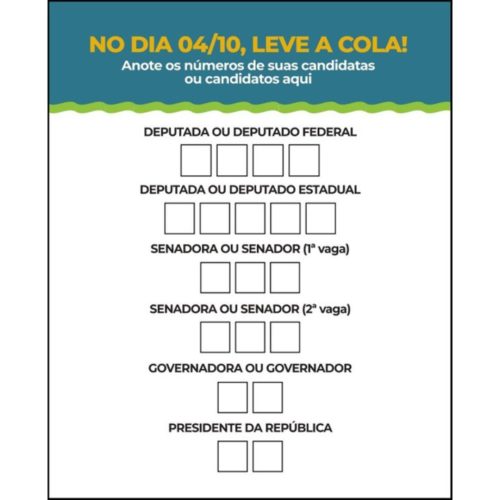 TRE – Eleições 2026: confira a ordem dos 6 votos na urna e como usar a colinha eleitoral