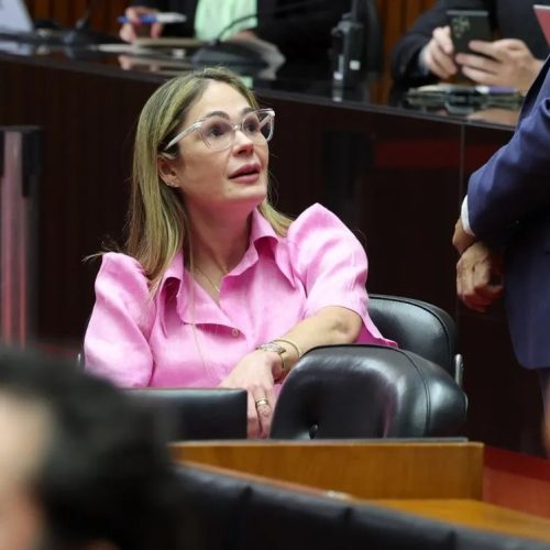 Deputada bolsonarista do PL faz acordo e pagará R$ 45 mil de multa por divulgar “Fake News” durante eleições municipais