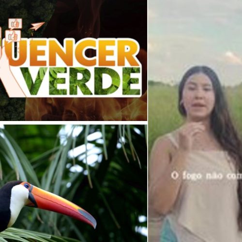 Ana Lídia Fioco, de Porto Ferreira, é uma das finalistas no concurso Influencer Verde da EPTV Central