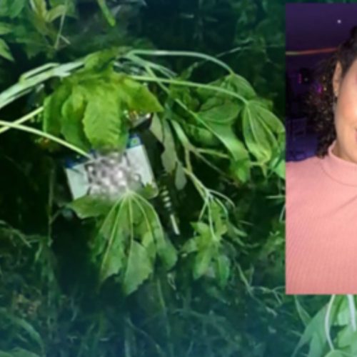 Homem é preso suspeito de matar a esposa e simular latrocínio no interior de MG