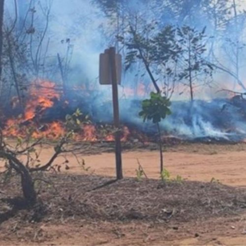 Operação estiagem da Prefeitura de Casa Branca fortalece política de prevenção e combate a incêndios no município