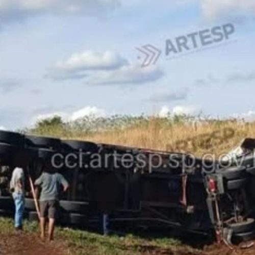 Boi na pista causa acidente no km 400 da Rodovia Anhanguera