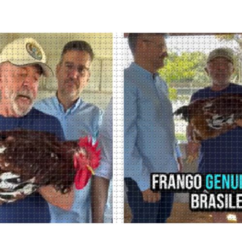Mário Salviato do Instituto AVIS de Porto Ferreira entrega dois exemplares da raça Galinha Sertaneja Balão ao Presidente Lula