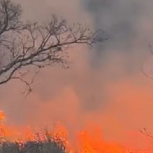 Combate às chamas: incêndio consome área equivalente a 40 campos de futebol